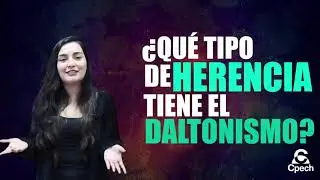 La herencia del daltonismo - YOUTUBER CPECH BIOLOGÍA
