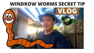 Windrow Worms 