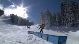 One Day In The Park With Trevor Haas