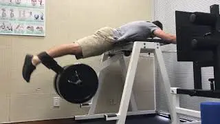 Low Back Health: Reverse Hyper
