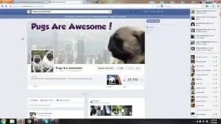 Email List Building with Facebook Fan Pages