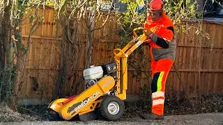 Stump grinding with the Predator 360 small stump grinder
