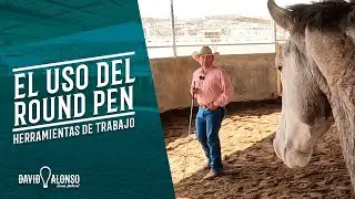El uso del Round Pen | Herramientas de Trabajo