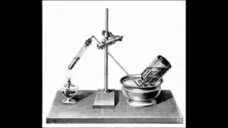 Introduction and History of Epidemiology