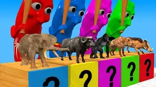 Long Slide Game With Elephant Gorilla Buffalo Duck Brainrot Wild Animals