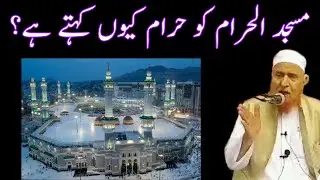 Masjid Al Haram Ko Haram Kyun Kehte Hai? Maulana Makki Al Hijazi | Islamic Group