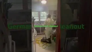 German roach fog clean out