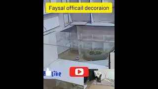 wwww fys official decoravoin