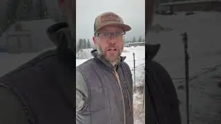 DEEP WINTER Chicken Coop is Lit!