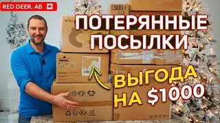БИЗНЕС В КАНАДЕ 2025: КУПИЛ ПОТЕРЯННЫЕ ПОСЫЛКИ 📦🇨🇦 Сколько заработал в Ред-Дире, Alberta?