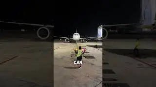 Лучшая работа в мире? 🙏