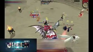 Queen sro rotana spam kill team samaka
