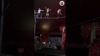 World&rsquo;s Most Beautiful Circus Performance! #shorts #shortsfeed #viral #trending #circus