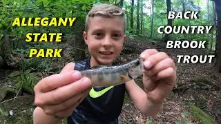 Brook Trout Fishing with the Family in the Backcountry of Allegany State Park NY!
