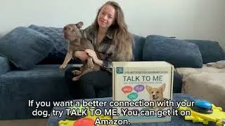 Talk To Me | Dog Talking Buttons Review | A client real experience!