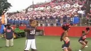 WE ARE THE BEARS FEAT 