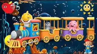 Tiney Ocean Baby Shark's🦈 || Preschool Rhymes || Baby shark song - Baby shark dance #cartoon