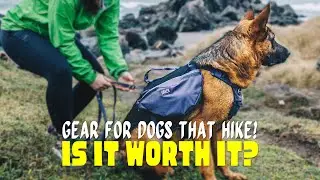 I Finally Found the Perfect Dog Harness &ndash; Unpacking the S&Auml;KER Canyon&trade; Light Pack!