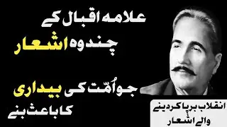Some of the poems of Allama Iqbal which caused awakening in the Muslim Ummah || The Reminder ||