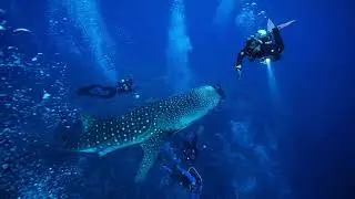 Solitude One x Red Scuba