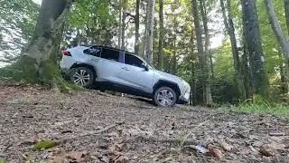 RAV4 AWD diagonal test