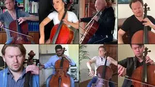 8 Swans