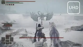 (PS5) Elden Ring | How to cheese Borealis the freezing fog?