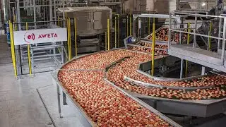 AWETA | Apple sorting & grading machine
