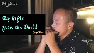 My Gifts from the World // Faye Wong