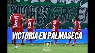 T6 E9 | Victoria en Palmaseca