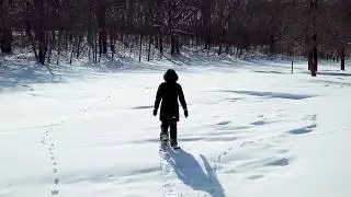 #freeplaysnowday