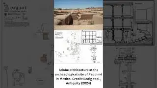 DNA analysis reveals child sacrifice and elite inbreeding in ancient Mexico #archaeologynews