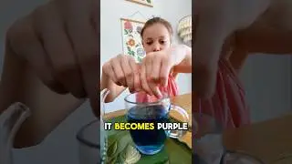 What is Butterfly Pea?!?