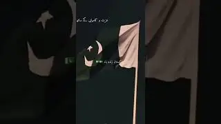 🇵🇰 Pakistan Independence Day 2025 🎉 Honoring Heroes & Celebrating Freedom ✨