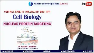 NUCLEAR PROTEIN TARGETING