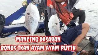 trip dadakan.untung masih ada rezeki.
