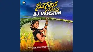 Seere Gattina Sudava (DJ Version)