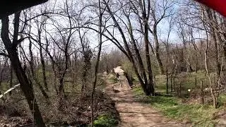 E-scooter crash vrakunsky lesik