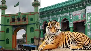 shahbabu dargah patur History part 1@रहस्यमई शाहबाबू दर्गाह जो यहां शेर की कहानी आपके होश उड़ा देगी!