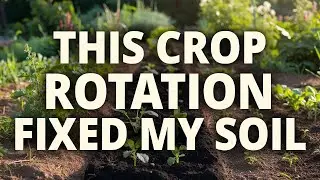 Ancient Crop Rotation in 15 Minutes &mdash; And My Soil Has Never Looked Better
