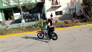 BANDA TÍPICA LOS ALEGRES DEL RON HUAYNO