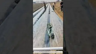 Brilliant Hack：Plastic Mulch Installation Using Rope and Weight #farmer #agriculture #work