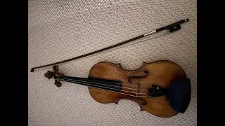 2024 Autumn Violin Extravaganza