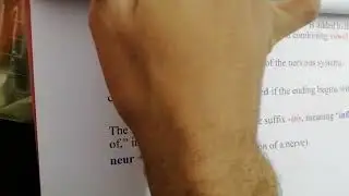 شلون تجي اسئله المصطلحات بالامتحان او شلون نقراهه؟ اللكجر الاول