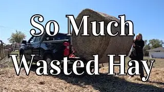 Trying a Texas Haynet - Heavy Gauge Round Bale Hay Net