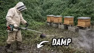 Wet, Muddy & Necessary Beekeeping