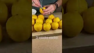 Moroccan Vegetable Tagine