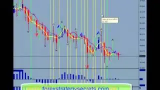 Forex Trading Strategy  While Working A Full Time Job . Learn Forex Trading Strategy Online