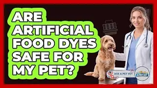 Are Artificial Food Dyes Safe For My Pet?