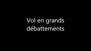 Banyangtoys X8 vol grands d&eacute;battements